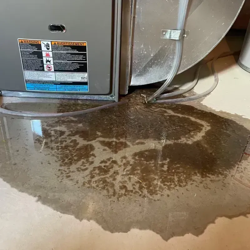 Appliance Leak Cleanup in Aviston, IL